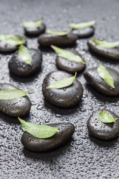 Several black basalt massage stones with green leaves on them, covered with water drops, distributed on a black background