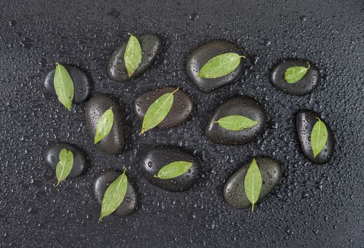 Several black basalt massage stones with green leaves on them, covered with water drops, distributed on a black background; top view, flat lay