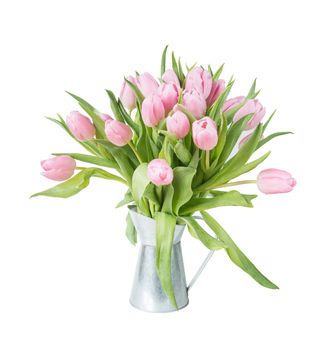 Bouquet of fresh pink tulips flowers covered with dew drops in metallic vase close-up, isolated on white background