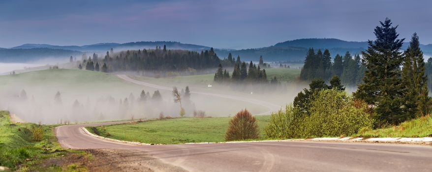 Free winding mountain road panorama. Mountain serpentine between green Christmas trees. Beautiful misty morning traveling background.
