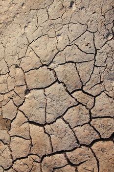 Dry cracked earth background, clay desert texture