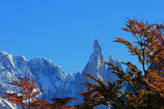 Cerro Torre mountain in autumn colors. Los Glaciares National park, Patagonia, Argentina, close front in focus