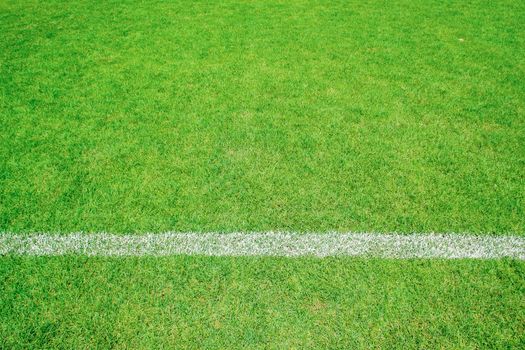 green grass of football sport field with white line for background