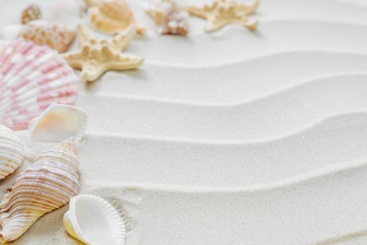 Beautiful frame of clams and starfishes on the background of wavy sea sand