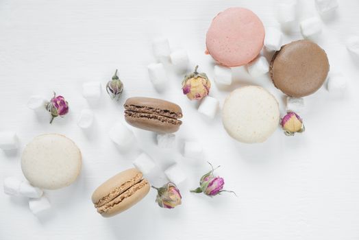 Multicoloured macaroons, dried rose buds and marshmallow on white background; top view, flat lay