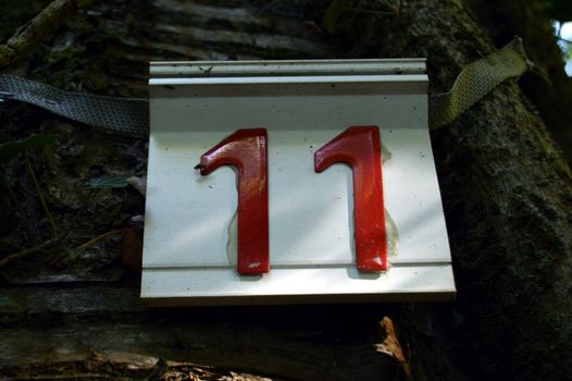 Calculate eleven red on white bottom stick on a tree trunk.