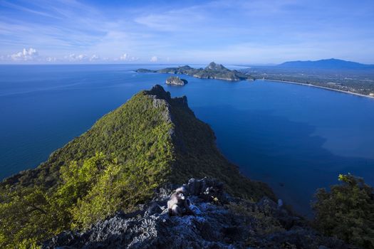 Amazing summer landscape with mountains sea blue sky sun and beautiful,Viewpoint Prachuap Bay.The dusky leaf monkey, spectacled langur, or spectacled leaf monkey.