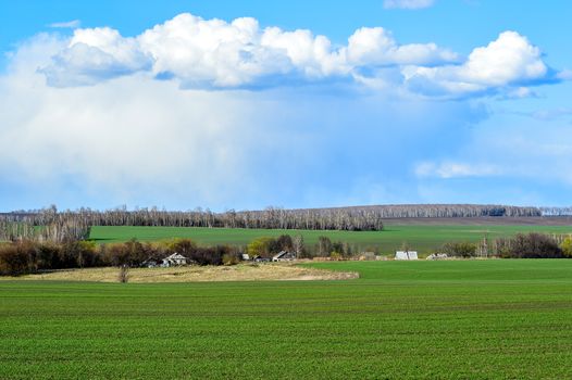Rural landscape with a green field, clouds and farm.