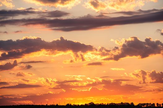 Beautiful dramatic sunset in orange tones over meadow