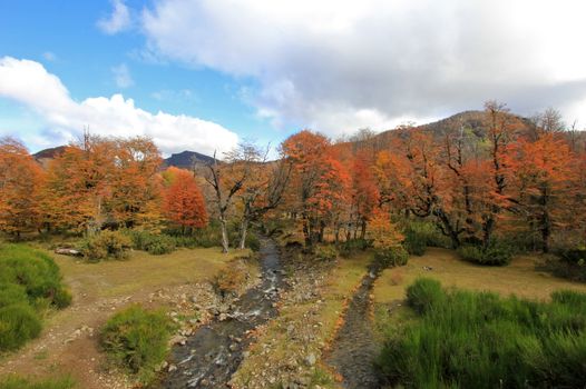 The river divides, one to the Pacific, the other to the Atlantic, Arroyo Partido, Neuquen, Argentina