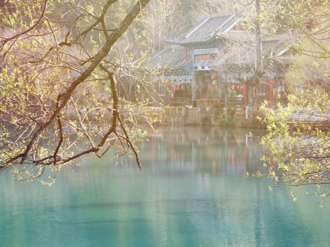 Nature background concept : The beautiful garden of imperial palace in China