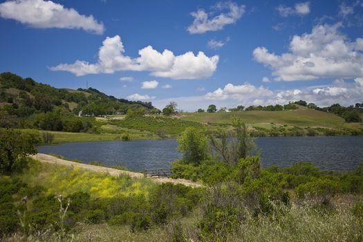 This image was taken at Grant Ranch located in San Jose, California. The park offers many miles of hiking, fishing, and camping in the park.