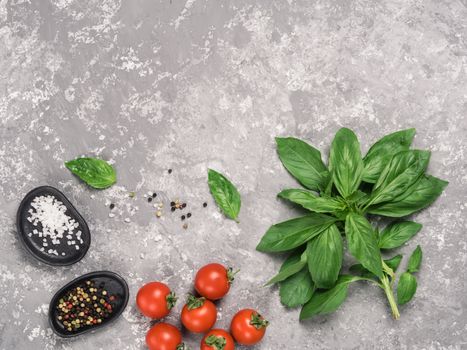 Cooking or food background. Fresh basil, tomatoes, salt and mixe pepper on gray concrete background. Top view or flat lay Copy space.