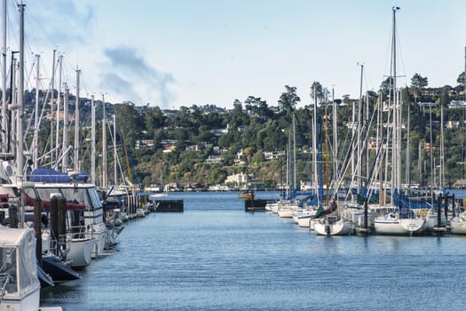Sail boats docked in Sausalito, California. Sausalito is located just across the bay from San Francisco. On the other side in the distance in Tiburon, California. 