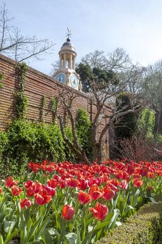 Image of a row of red tulips next to a brink wallk. This formal garden feature a clock tower, which also has beautiful patio garden.