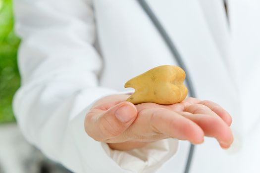 dentist holding molar, dental concept