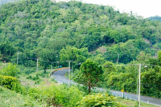 Asphalt road with Natural tree background