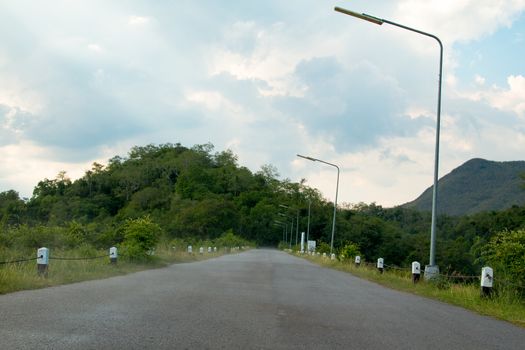 Asphalt road with Natural tree background