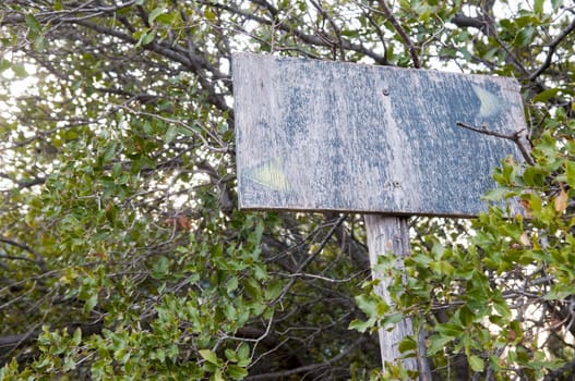 very old wooden sign