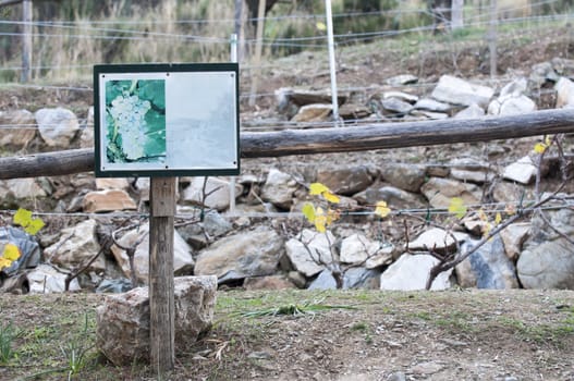 wooden sign for grapes crop