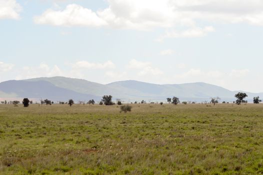 View of the Tsavo East savannah in Kenya with the mountains in the background