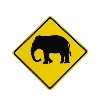 Elephant crossing road sign isolated on white wth clipping path