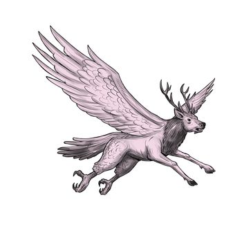 Tattoo style illustration of a Peryton, a Medieval European mythical creature with head, forelegs and antlers of a full-grown stag with the wings plumage and hindquarters of a bird viewed from the side set on isolated white background. 