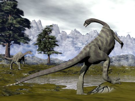 Two anchisaurus dinosaurs next to pine trees and a swamp in the mountain - 3D render