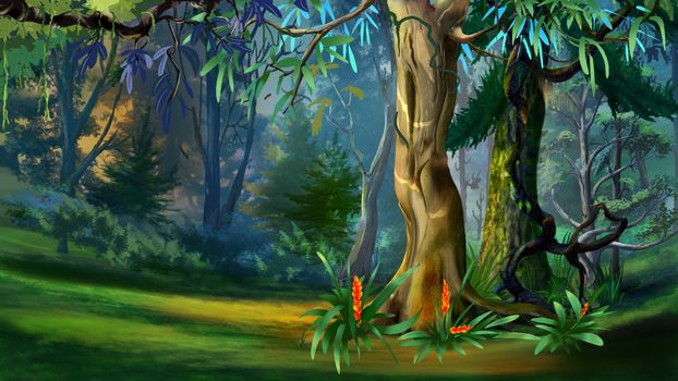 Big Trees in a Forest in a Summer Day. Digital Painting Background, Illustration in cartoon style character.