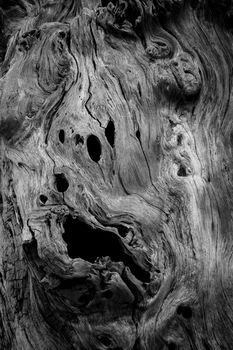 spooky of textures and patterns on the wood