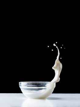 Milk splash in glass plate on white table. Isolated on black background. Flying food. Copy space. Vertical.