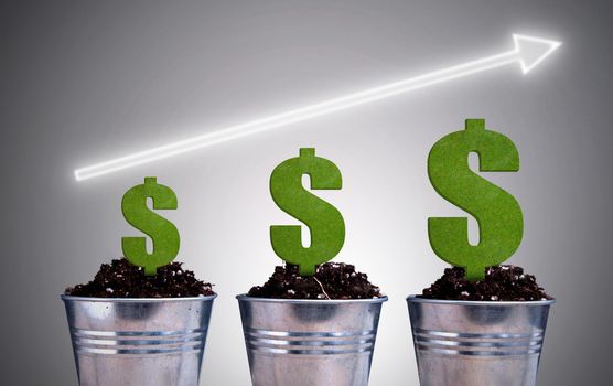 Arrow pointing upwards with different phases of dollar growth in plant pots 