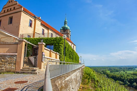 Vineyard in front of the castle Mělník Bohemia Czech Republic