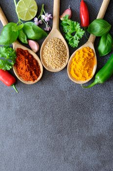 Fresh herbs and spices in wooden spoons on a kitchen worktop background