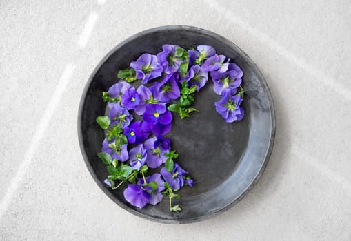 Blue pansies in a metal tray, on gray concrete background.