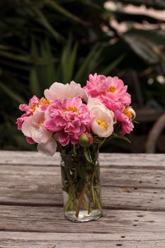 White and pink peony flower Paeonia bouquet in a vase in spring