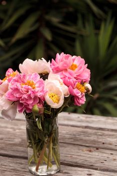White and pink peony flower Paeonia bouquet in a vase in spring