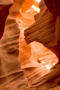 Sunlight reflected off of the red rock curves of the Antelope Canyon Slot Canyons in Page, Arizona. This shot was taken in Lower Antelope Canyon. 

Antelope Canyon is Mother Nature's work in progress. The canyon is carved from the flash flood waters of the Lake Powell basin. This canyon is a spectacular wonder and a photographers paradise.
