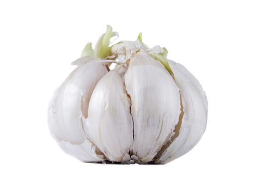 Ripe fresh garlic on white isolated background