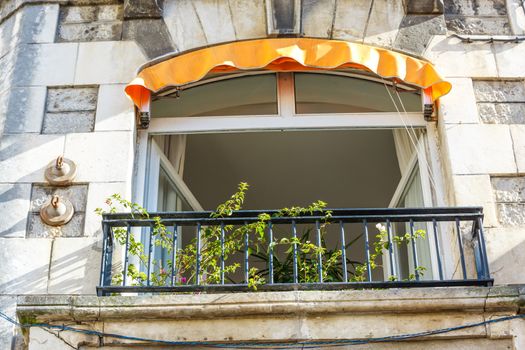 Old Romantic Balcony with plants and flower