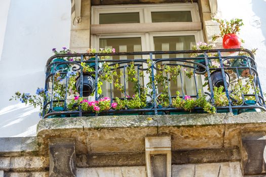 Old Romantic Balcony with plants and flower