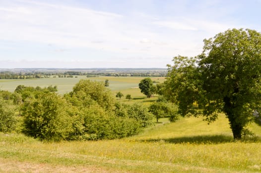 View of the countryside of Mont-Devant-Sassey in the department of Meuse in France