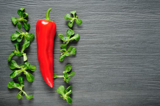One ripe sweet red Kapia pepper with valeriana salad leaves on dark shale stone background