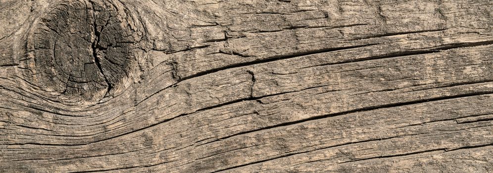 Slice of a wooden board of neutral color, horizontal big size background