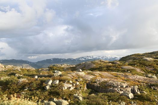 The Saudavegen is a picturesque national route in Norway