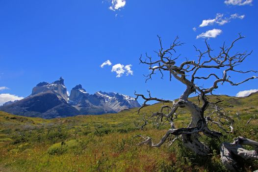 Cuernos Paine Grande, Torres Del Paine National Park, Patagonia, Chile, Southamerica