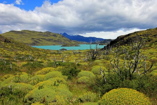 Nordenskjold lake, Torres Del Paine National Park, Patagonia, Chile Southamerica