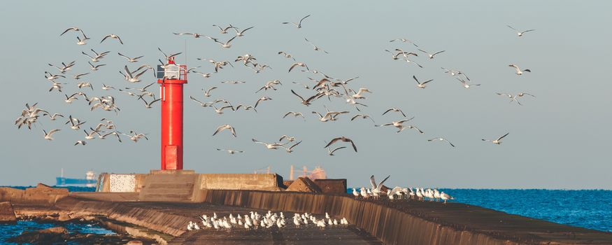 White seagulls flying against the red lighthouse