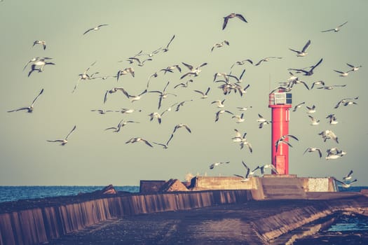 White seagulls flying against the red lighthouse