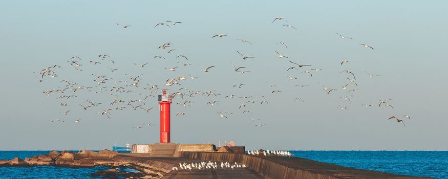 White seagulls flying against the red lighthouse